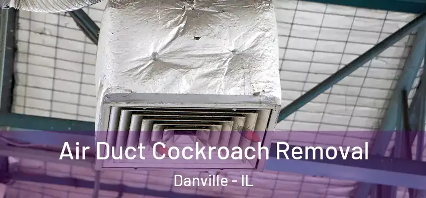  Air Duct Cockroach Removal Danville - IL