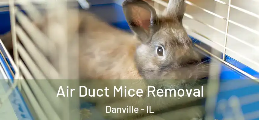 Air Duct Mice Removal Danville - IL