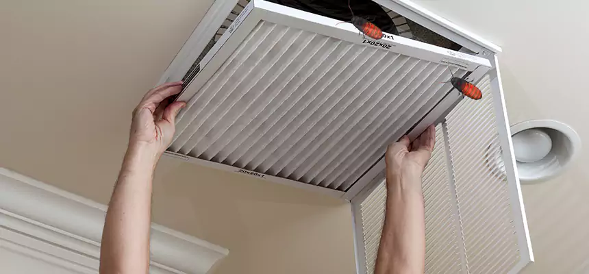 Preventive Cockroach-Proofing for Ducts in Danville