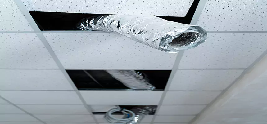 Our Air Duct Pet Hair Removal Services in Danville, IL