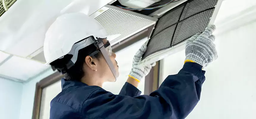 Our Mold & Mildew Removal from Air Ducts Services in Danville, IL