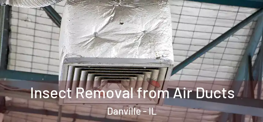 Insect Removal from Air Ducts Danville - IL
