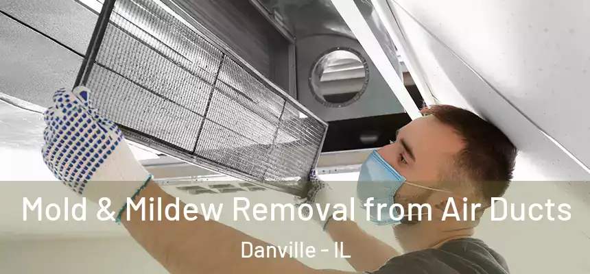 Mold & Mildew Removal from Air Ducts Danville - IL