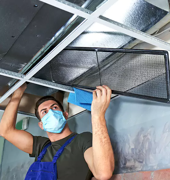 Professional Air Duct Pollen Cleaning in Danville, IL