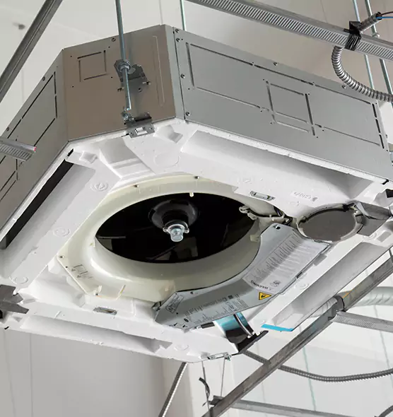 Professional Roof Vent Lint Removal Danville, IL