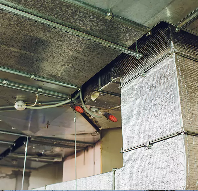 Why Homeowners & Businesses Trust Us in Danville, IL?