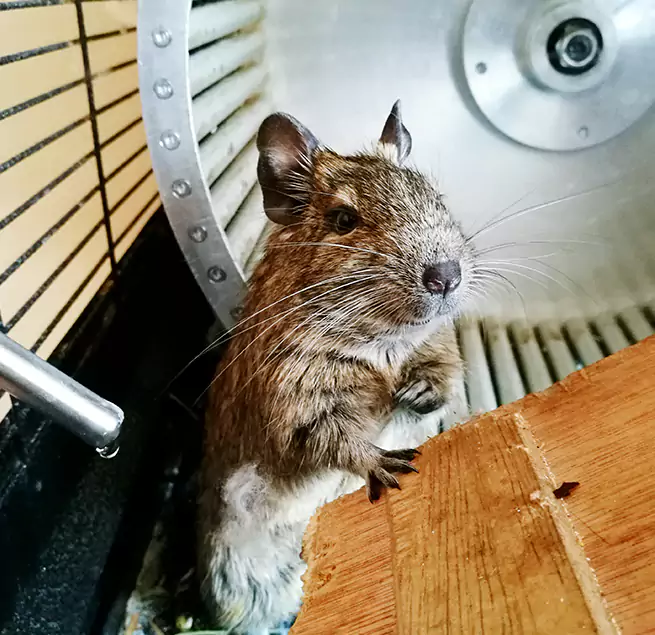 Why Homeowners & Businesses Trust Us Danville, IL