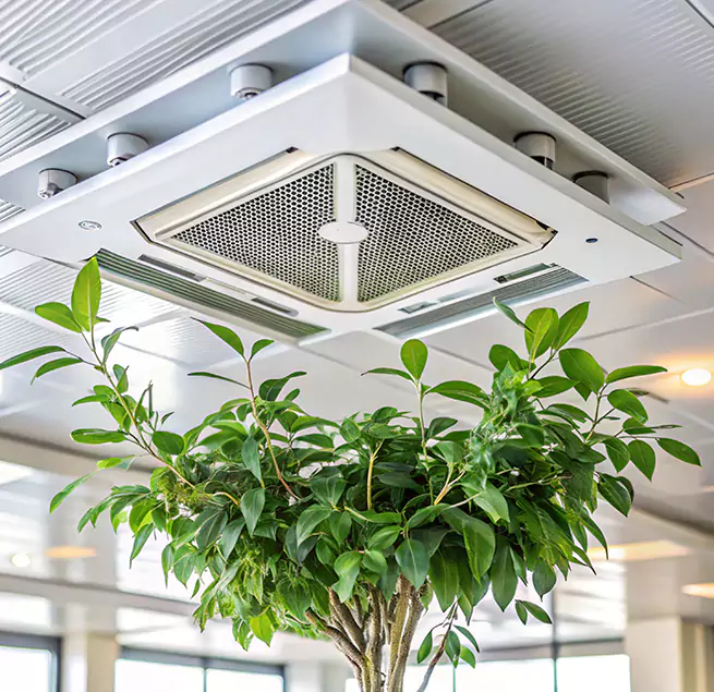 Why Homeowners & Businesses Trust Us in Danville, IL?