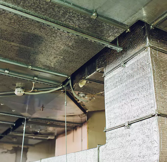 Why Homeowners & Businesses Trust Us in Danville, IL?